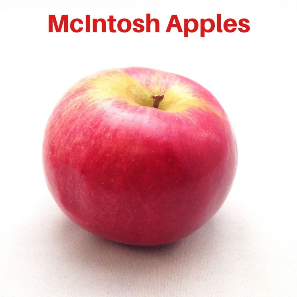 McIntosh Apples Whistling Well Farm
